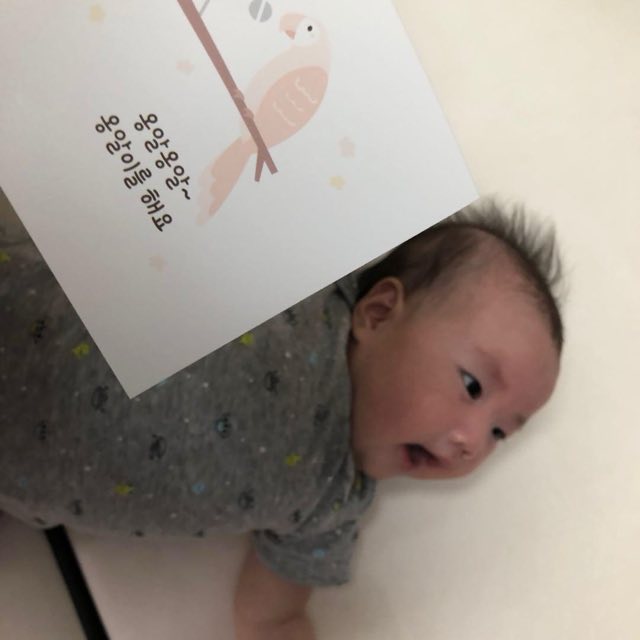 おなかを床につけてうつ伏せになり、顔を上げて絵カードを見ている赤ちゃん