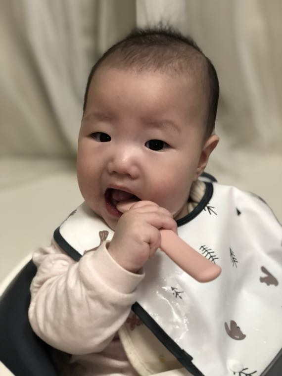 이유식 첫 음식, 뭐부터? 쌀미음→채소→과일→소고기 시작 순서와 도입법