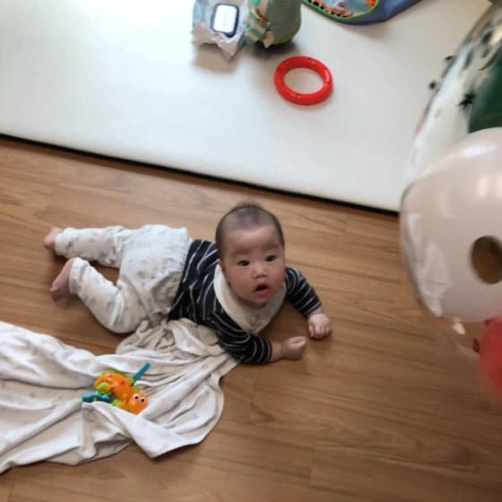 배를 바닥에 대고 팔로 상체를 받치며 고개를 든 아기