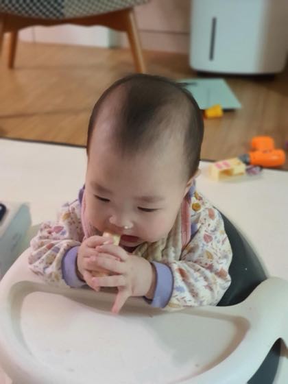 이유식 의자에 앉아 손으로 음식을 집어 먹는 이유식기 아기