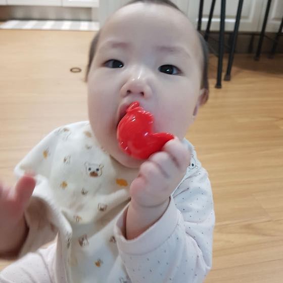 A baby holding a red teether and biting on it