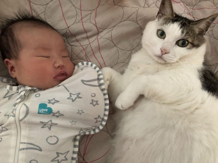 Do newborn head-shaping pillows work? What pediatrics really says