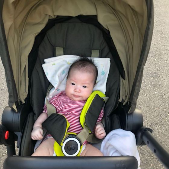 A baby riding in a stroller outdoors in summer with only the built-in canopy up and no cloth draped over it
