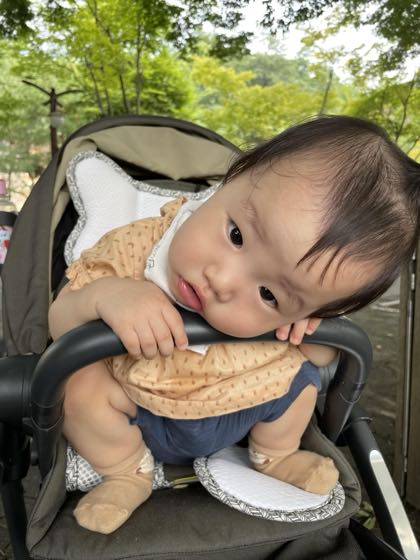 A baby sitting comfortably in a well-ventilated stroller under the shade of a tree on a summer day, gazing outside