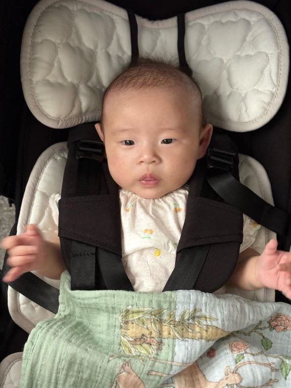 Don't Drape Cloth Over a Summer Stroller | How Shading the Sun Turns It Into a 'Thermos'