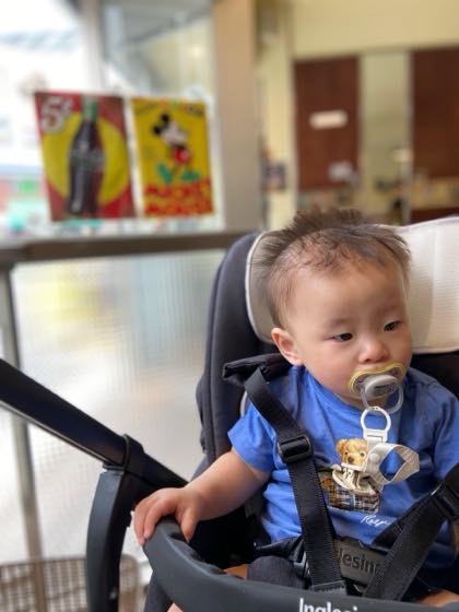 夏の半袖姿でベビーカーに座り、外をながめる赤ちゃん
