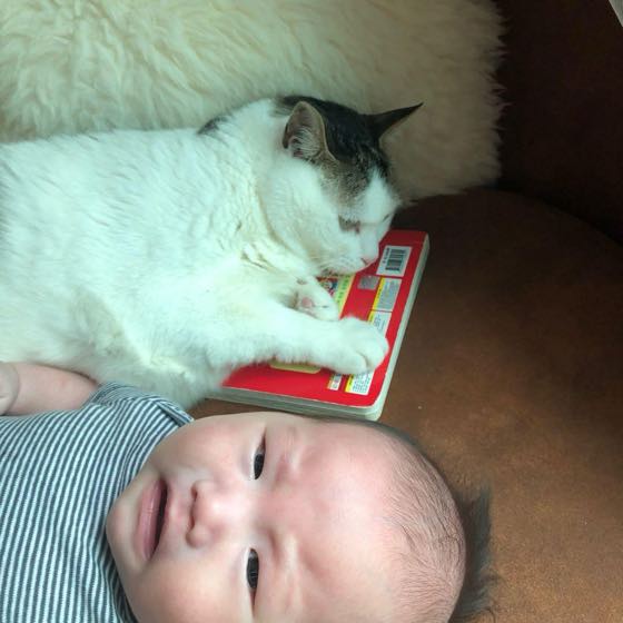 家で猫のそばに並んで横たわっている赤ちゃんの日常の瞬間